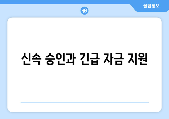 신속 승인과 긴급 자금 지원