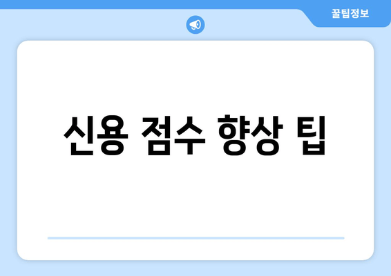 신용 점수 향상 팁