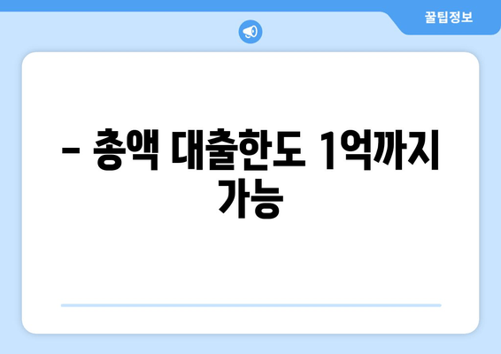 - 총액 대출한도 1억까지 가능