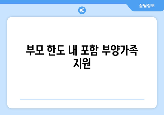 부모 한도 내 포함 부양가족 지원