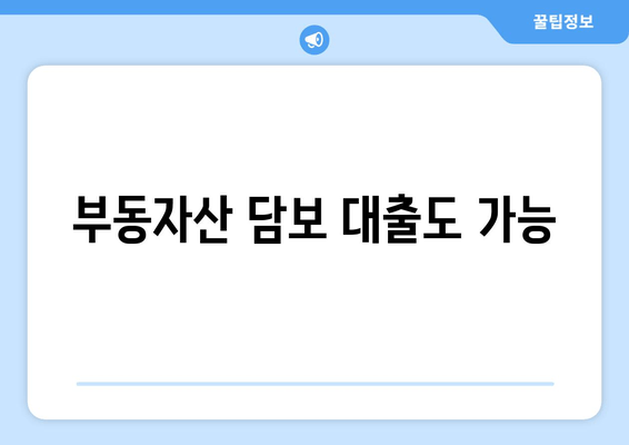 부동자산 담보 대출도 가능