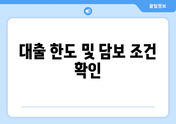 대출 한도 및 담보 조건 확인