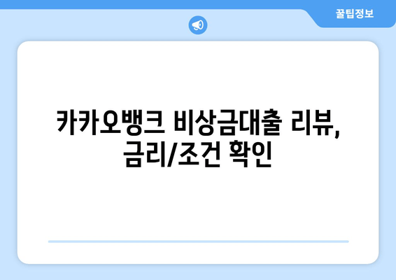 카카오뱅크 비상금대출 리뷰, 금리/조건 확인