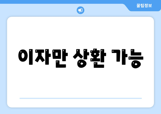 이자만 상환 가능