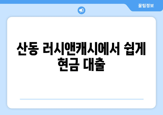 산동 러시앤캐시에서 쉽게 현금 대출