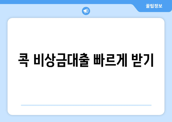 콕 비상금대출 빠르게 받기