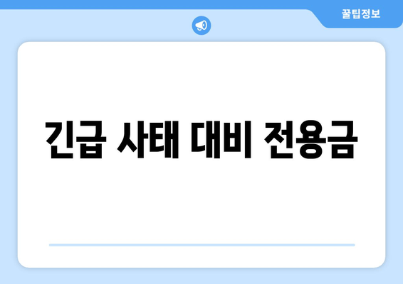 긴급 사태 대비 전용금