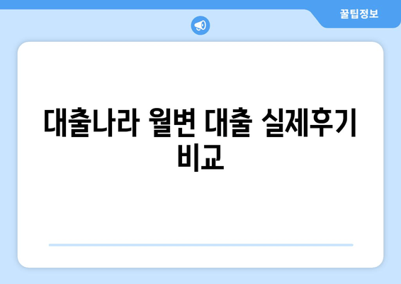 대출나라 월변 대출 실제후기 비교