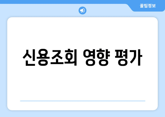 신용조회 영향 평가