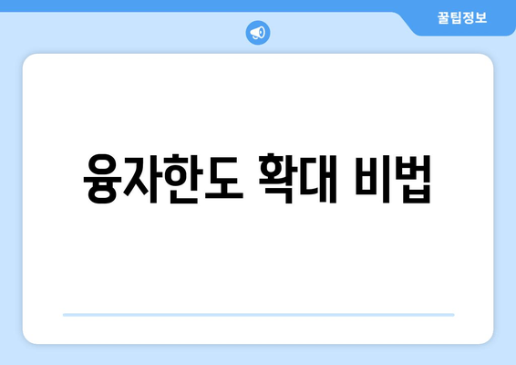 융자한도 확대 비법