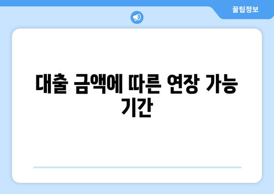 대출 금액에 따른 연장 가능 기간