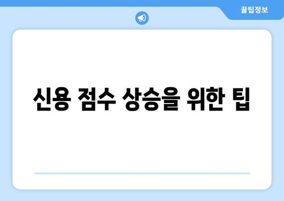 신용 점수 상승을 위한 팁