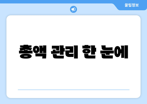 총액 관리 한 눈에