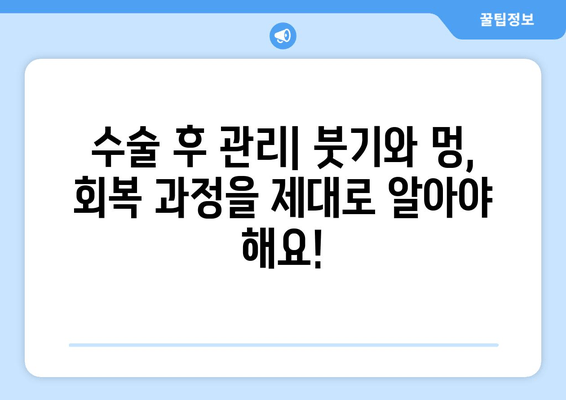 엉덩이 & 허벅지 지방흡입, 가격보다 중요한 건? | 성공적인 수술 결과를 위한 체크리스트