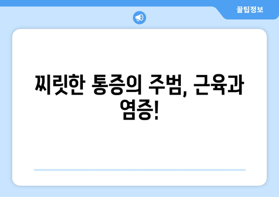 오래 걷고 나면 찌릿! 허벅지 바깥쪽 통증, 원인과 해결책 | 근육통, 족저근막염, 햄스트링,  스트레칭, 운동