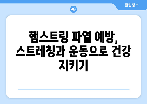 허벅지 햄스트링 통증, 파열 증상 완벽 해결! 효과적인 치료 및 예방 가이드 | 햄스트링 통증, 근육 파열, 스트레칭, 운동