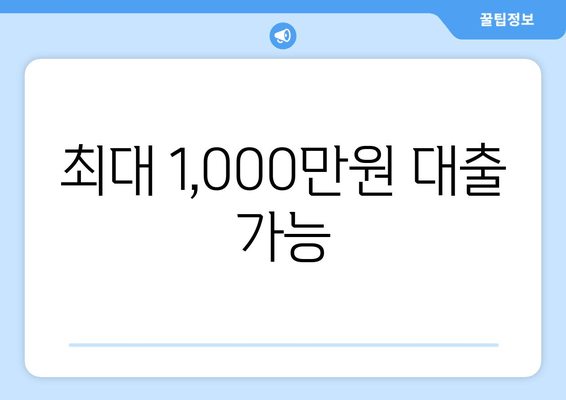 최대 1,000만원 대출 가능