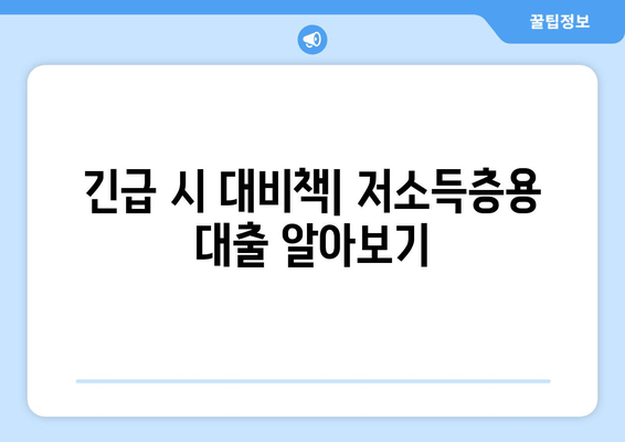 긴급 시 대비책| 저소득층용 대출 알아보기