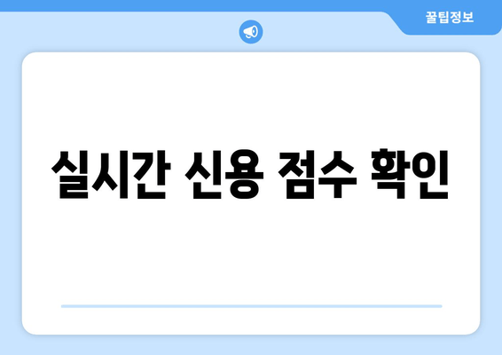 실시간 신용 점수 확인