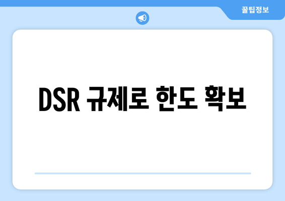 DSR 규제로 한도 확보