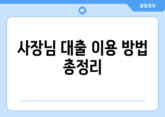 사장님 대출 이용 방법 총정리