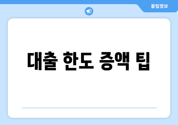 대출 한도 증액 팁