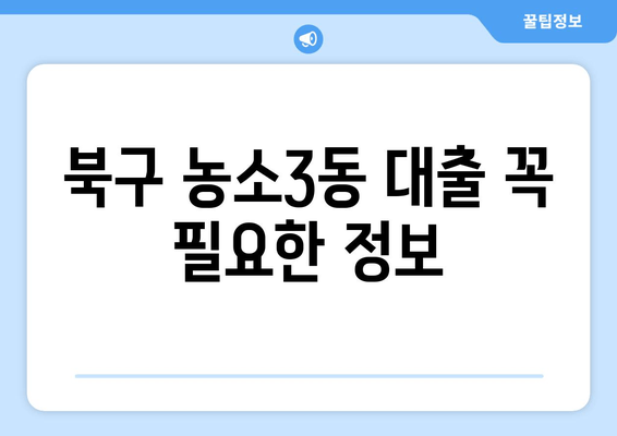 북구 농소3동 대출 꼭 필요한 정보