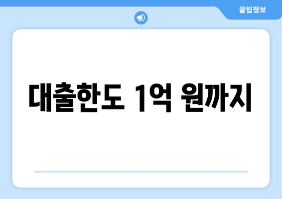 대출한도 1억 원까지