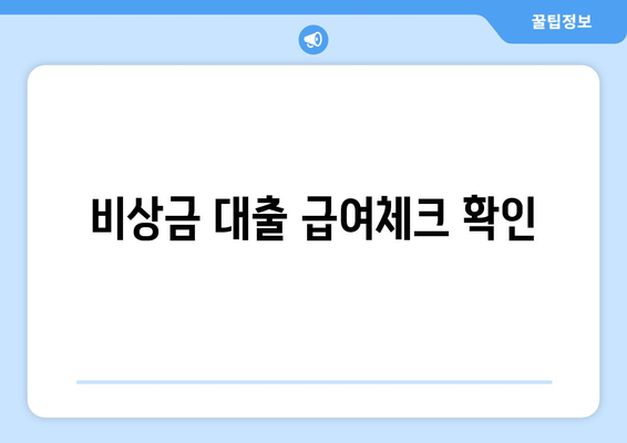 비상금 대출 급여체크 확인