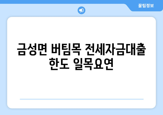 금성면 버팀목 전세자금대출 한도 일목요연