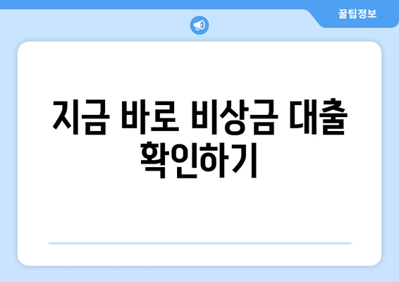 지금 바로 비상금 대출 확인하기