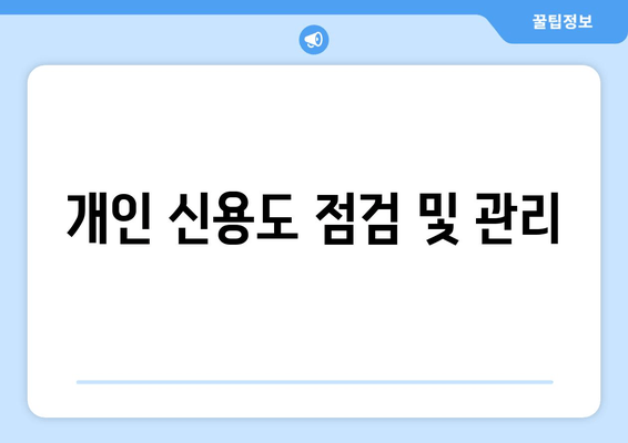 개인 신용도 점검 및 관리