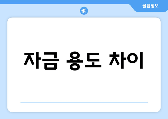 자금 용도 차이