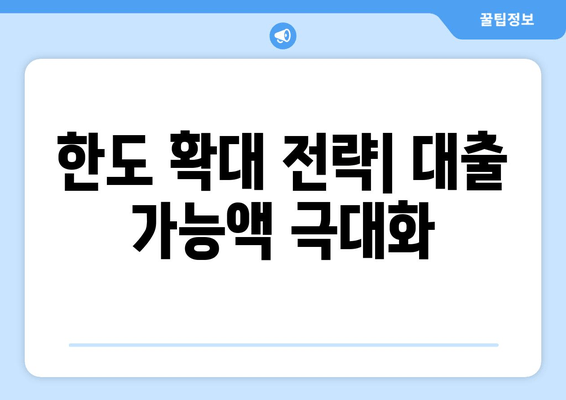 한도 확대 전략| 대출 가능액 극대화