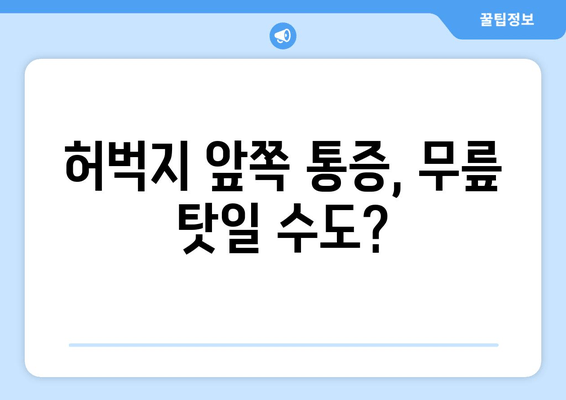 허벅지 통증 부위별 원인| 어디가 아픈지에 따라 달라지는 진단! | 허벅지, 통증, 원인, 진단, 치료, 운동