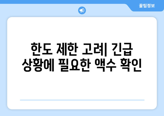 한도 제한 고려| 긴급 상황에 필요한 액수 확인