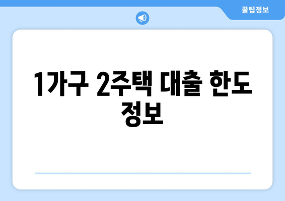 1가구 2주택 대출 한도 정보