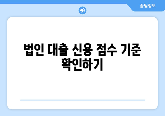 법인 대출 신용 점수 기준 확인하기