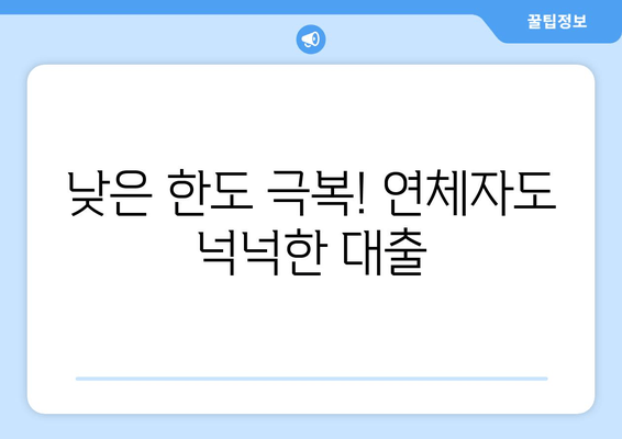 낮은 한도 극복! 연체자도 넉넉한 대출