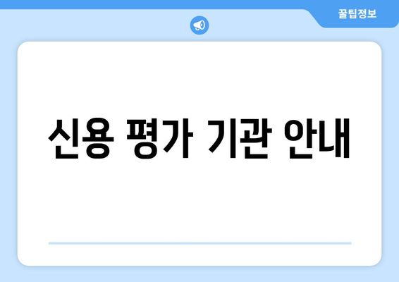 신용 평가 기관 안내