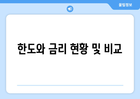 한도와 금리 현황 및 비교