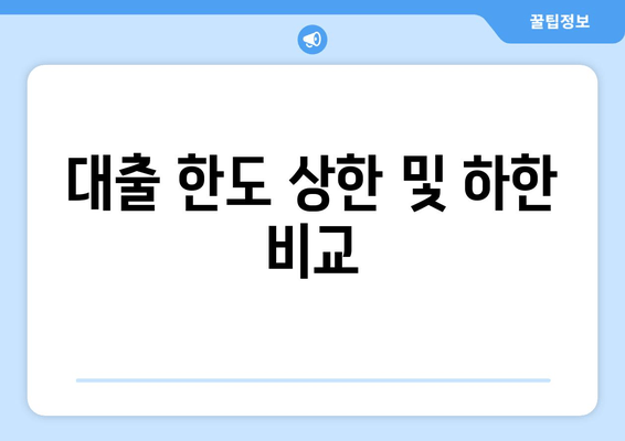 대출 한도 상한 및 하한 비교