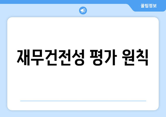 재무건전성 평가 원칙