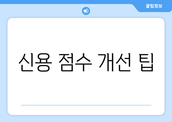 신용 점수 개선 팁