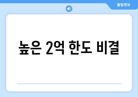 높은 2억 한도 비결