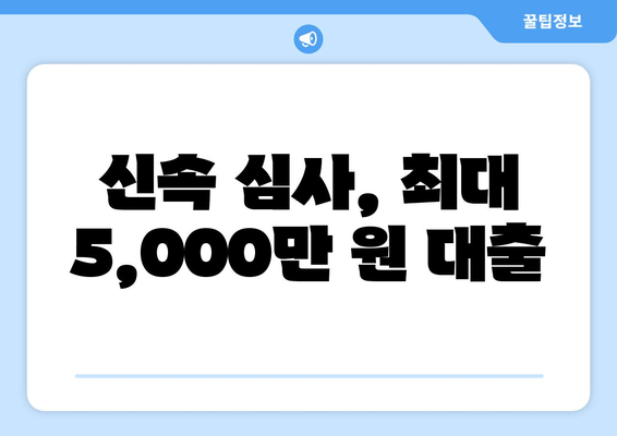 신속 심사, 최대 5,000만 원 대출