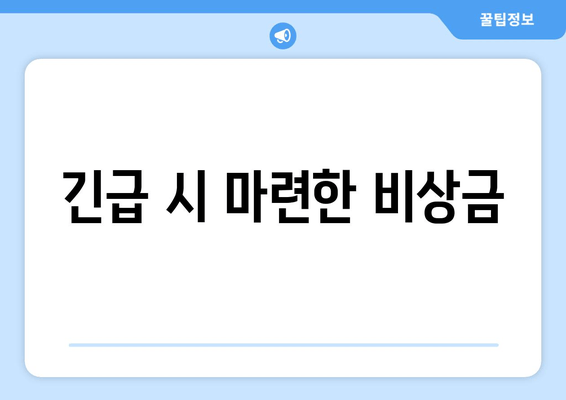 긴급 시 마련한 비상금