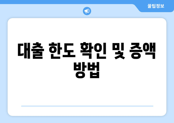 대출 한도 확인 및 증액 방법