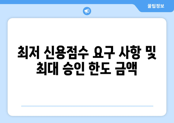 최저 신용점수 요구 사항 및 최대 승인 한도 금액