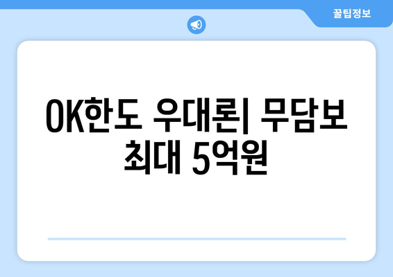 OK한도 우대론| 무담보 최대 5억원